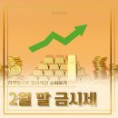 6150 | 대전금거래소 2월 말 금시세 (반지 리셋팅으로 합리적인 소비하기!)