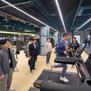 트윈플라워 이미지