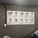 도래샘 | 의왕 도래샘 방문 후기 – 우리 가족이 맛본 세 가지 메인 메뉴