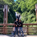 울릉도여행 2박3일 코스 추천