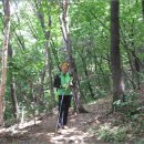 태을초교 이미지