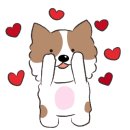 더펫레시피 이미지