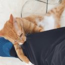 마이카존 이미지