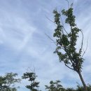 양산신-2024 | 2024 한화 서울세계불꽃축제 후기 | 여의도 명당자리 꿀팁 &amp; 2025 방문 예정