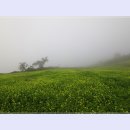 매봉산 바람의언덕 이미지