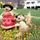 포시즌 봄 이미지