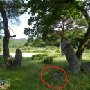 다산2리 이미지