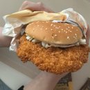 가야로 183(롯데리아 김해북부점) 앞 | 롯데리아 왕돈까스버거&amp; 매운왕돈까스버거 먹고 배터져