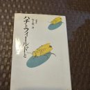 1987년 발간 "사카가미 쇼이찌" 저 "벌과 필드" 이미지