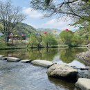 도봉 역사문화 길(5코스-천년고찰 길) | 세계문화유산 공주 마곡사, 천년 고찰 공주 마곡사의 봄