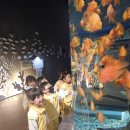 12.04 아쿠아리움 견학🦈🐠🐟 이미지