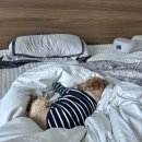 매드피자 서면점 이미지