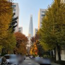 연수 | 송파 운전연수 유어파일럿 내돈내산 자차연수 후기