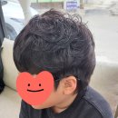 시저리서신