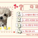 이아빌리지2 이미지