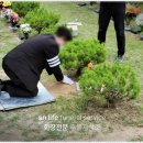 유성한가족병원 | 유성한가족병원장례식장 자연 속 수목장 진행