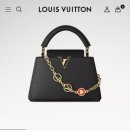 신기양품 | 프로포즈 백 디올 레이디백 스몰 블랙 - 선택이유, 가격, 양품 고르는 법