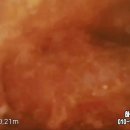 화성정육점식당 이미지