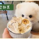 인 하프 in half