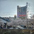 화창사우나 이미지