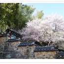 밀양향교 이미지