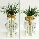 박찬문내과의원 | 관악구 한의원/신림동 한의원 장수한 의원 방문 후기 입니다.신림역 근처 한의원 입니다.손해복 원장님