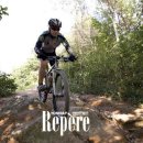 은빛물고기 이미지