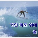 서퍼랑 이미지