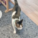 까사델문도A 이미지