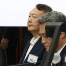 브이아이피특수