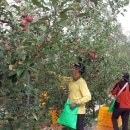 기산축산 이미지