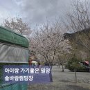 솔바람캠핑장 - 서천군 장항산단로34번길 48-44 | 밀양 솔바람캠핑장 후기 | 아이랑 가기좋은 감성캠핑장