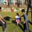 반디펜션 이미지