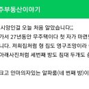 과천 데시앙(역세 데시앙과 내부는 비슷할듯) 이미지