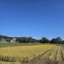 안말농장 이미지