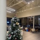 온양2동 용화로76번길 | 아산 카페 티박스 방문 후기｜아산 늦게까지 하는 카페, 조용한 카페