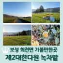 다원농장 | 보성 녹차밭 가볼만한곳 &lt;제2 대한다원&gt; 대한다원 제2다원 / 회령다원 / 대한다업 제2농장