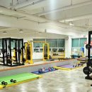 바디플랜 이미지