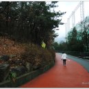 두류공원 이미지