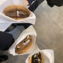 와플대학북항캠퍼스 이미지