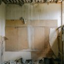 제주의 이유 이미지