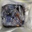 새부산낚시 네이버블로그