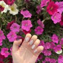 이쁜손네일 - 양주시 가래비길 152 | 마곡역 네일 추천, 네일깃든 자석젤 후기 + 찾아가는 길 정리