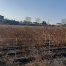 동량면사무소 이미지