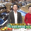 김지연농장 이미지