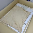 천열 | 제주편백오일 천열탈취제 추천｜아기 안전한 러프배럴 솔직후기
