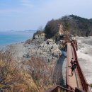 대부해솔길 1코스 이미지