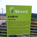 평화장식 - 제천시 용두천로 148 | 평화장식