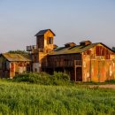 고무다리길 이미지