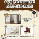 고양이 집사가 직접 가입해본 마이브라운, 다이렉트 가입 후기 및 병원가자 용기있게! 캠페인